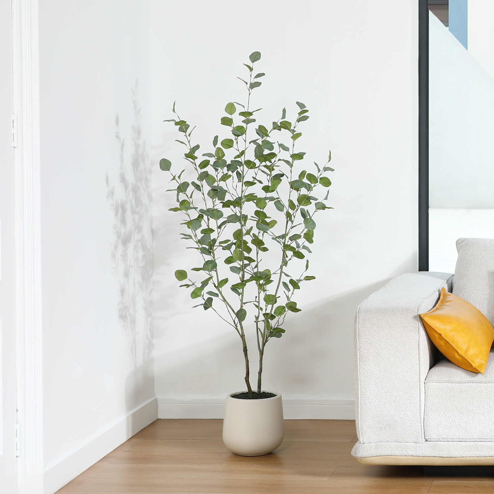 Adalia Eucalyptus Tree in Pot, 60" H x 20" W x 20" D