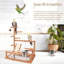 Perchoir en bois Bird-121262693