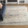 Webster Machine Washable Oriental Blue/Cream Area Rug