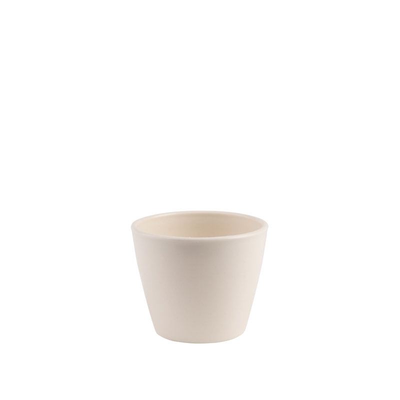 2 Piece Costa Farms Live Cactus Low Maintenance Plant in Ceramic Planter