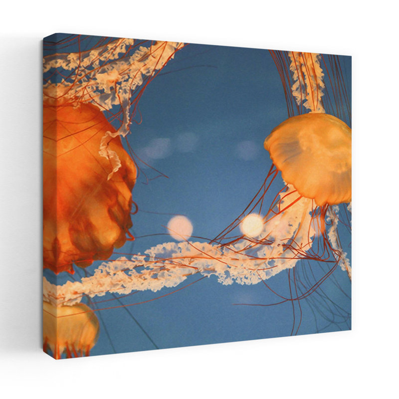 Art contemporain Jelly Fish 1, H 32 po x l 32 po