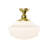 Moshier Polished Brass 16'' W 1 - Bulb Outdoor Flush Mount