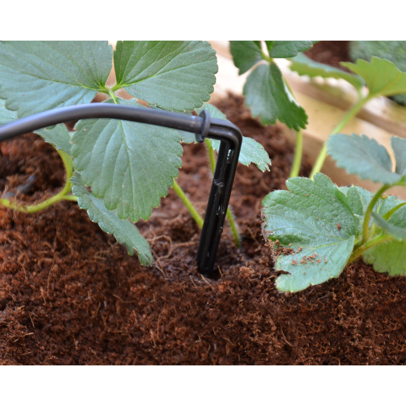 Palram - Canopia Greenhouse Drip Irrigation Kit Watering and Maintenance