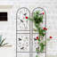 Ensemble de 2 treillis de jardin en métal 71 po x 19,7 po antirouille pour plantes grimpantes déco libellule