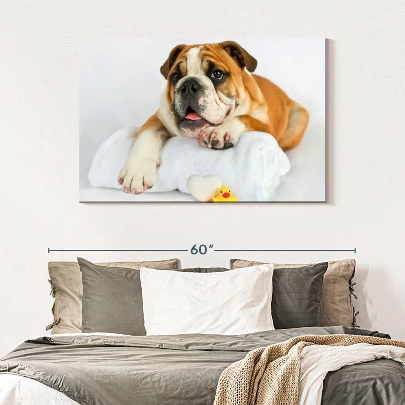 Brampt Donald I, 32" H x 48" W