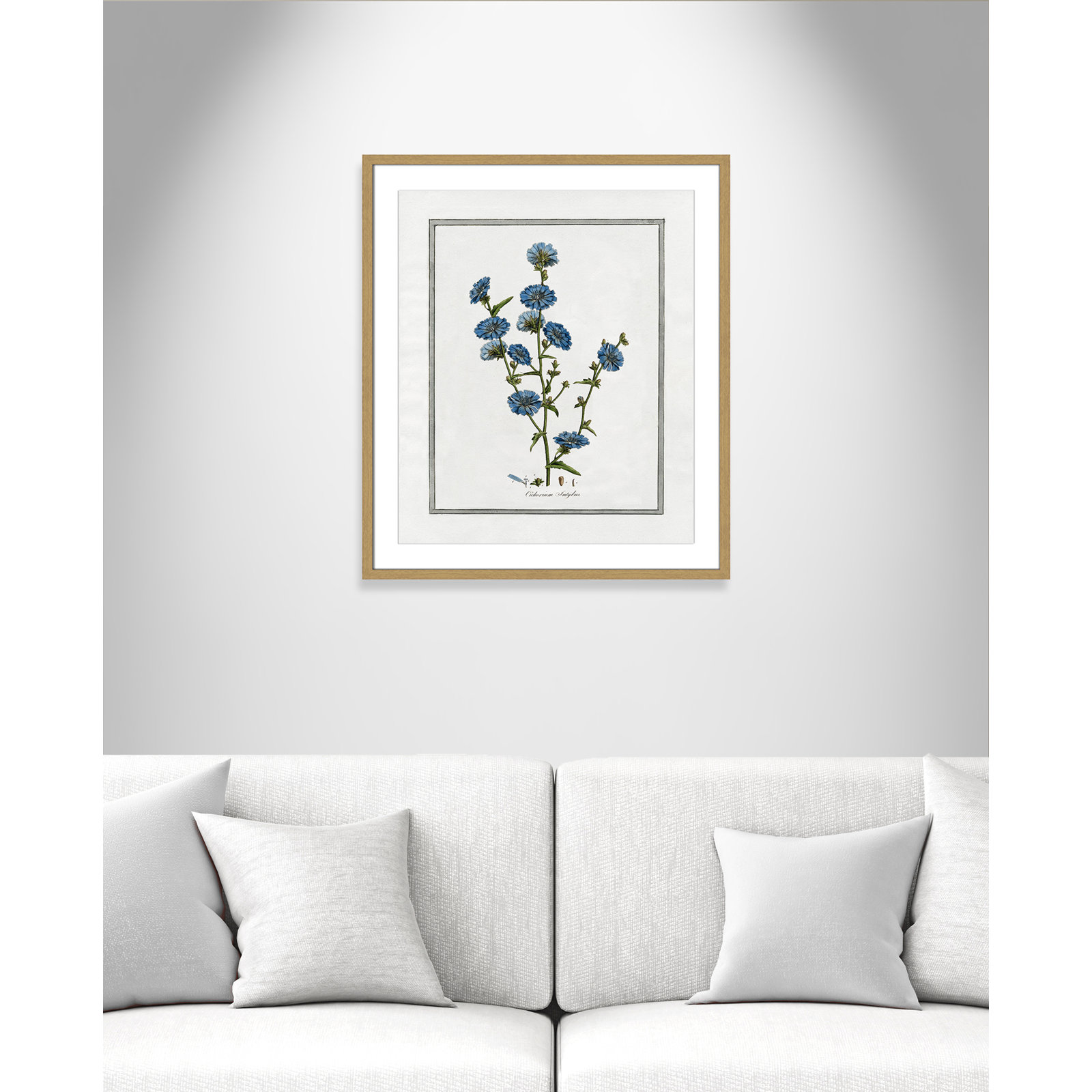 Soft Botanical I - Framed Art Full Bleed, 21.5" W x 25.5" H, Natural Framed
