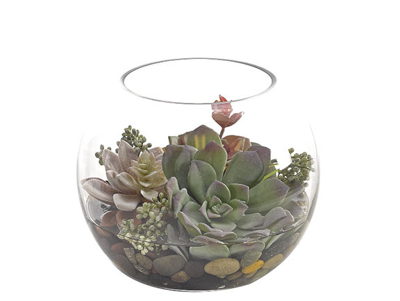 Succulent, Green Mauve, Glass Bubble,  8wx8dx6.5h