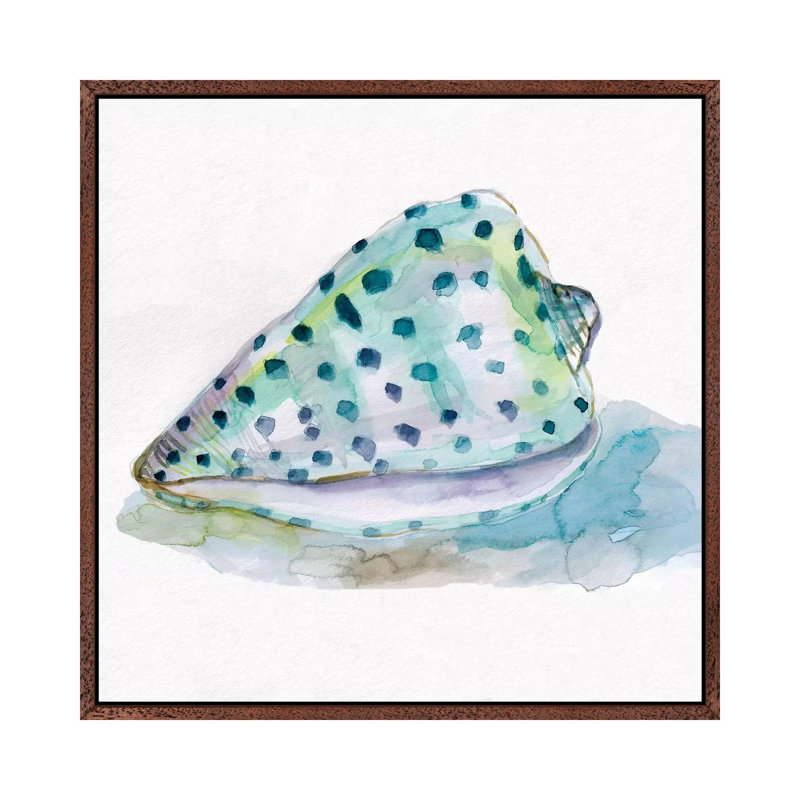 Malecon Shell IV by Carol Robinson - Print on Canvas, Classic Brown Wood Framed, 66.04 cm H x 66.04 cm W
