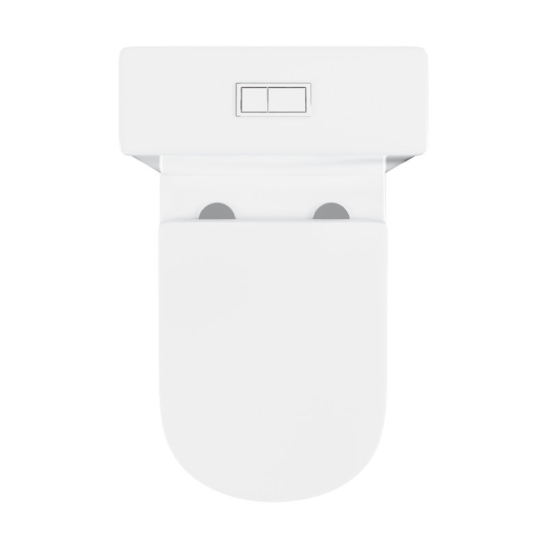 Lamarck Two-Piece Elongated Toilet Dual-Flush 1.1/1.6 Gpf