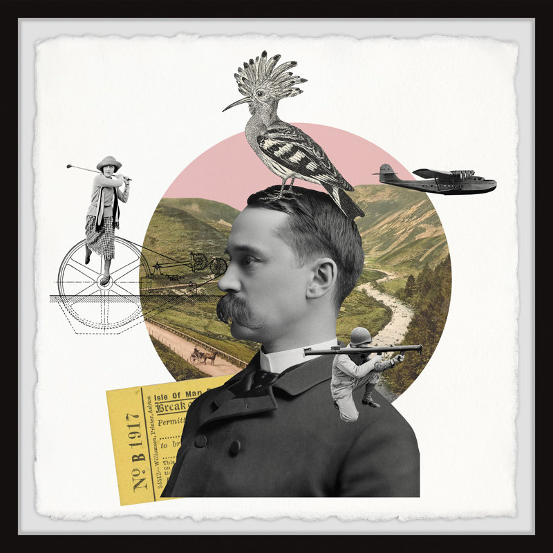 Eurasian Hoopoe - Single Picture Frame Print, 45cm H x 45cm W 