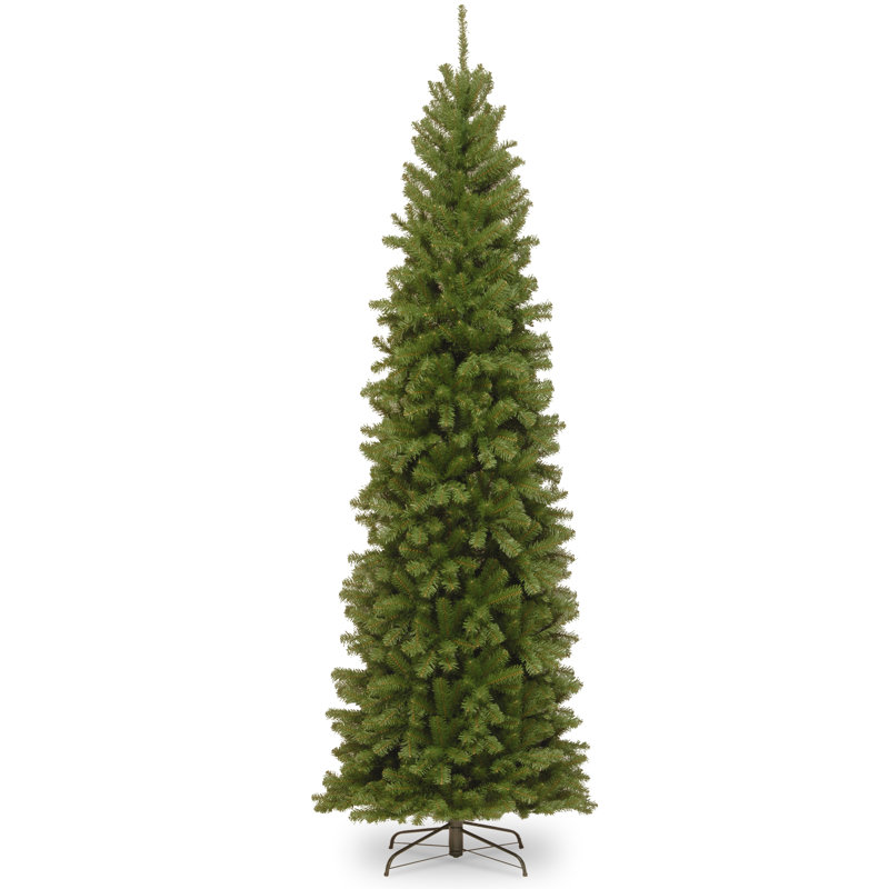 Épinette effilée North Valley Spruce, 10 pi