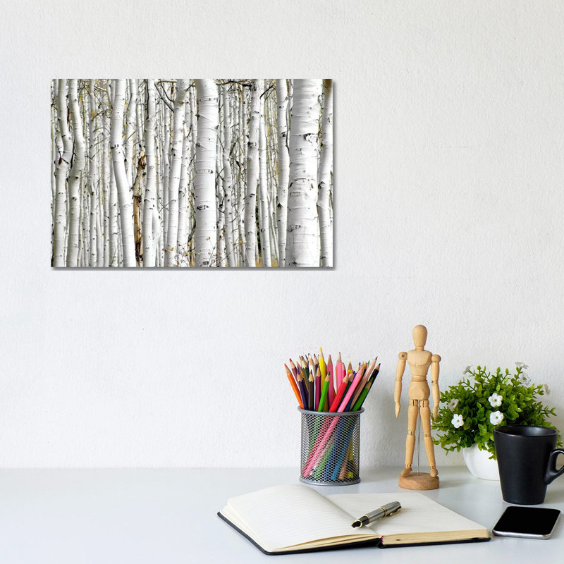Birch Wood by PhotoINC Studio - Wrapped Canvas Print, 20.32 cm H x 30.48 cm W, Wrapped Canvas