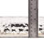 Tapis noir / blanc Ethelyn-1540003823