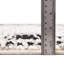 Tapis noir / blanc Ethelyn-1540003836