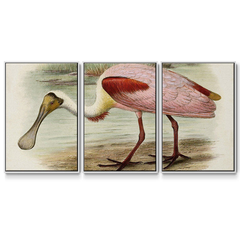 Roseat Spoonbills II 3 pièces, H 24 po x l 48 po x P 2 po, Blanc