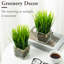 22.1cm Faux Onion Grass Grass in Glass Vase