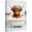 Highland Cow-126031383-126031384