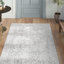 Tapis de couloir à motif de médaillon pour le salon, la chambre à coucher, la salle à manger, le vestibule, le couloir ou la cuisine Almirka, ivoire / gris-30192738