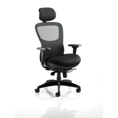 Symple Stuff Office Chair with Headrest