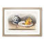 Mice by J.W. Audubon - Framed Print-55575773-55575774