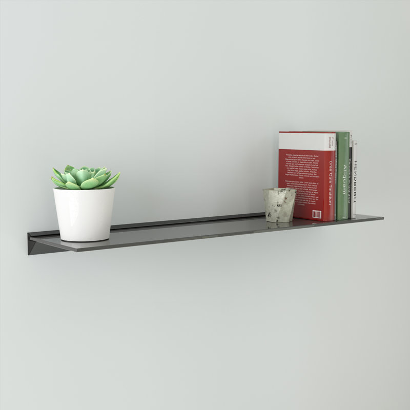Reeana Wall Mounted Shelving Unit, 5.5cm H x 100cm W x 25cm D