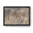 Black Framed Canvas