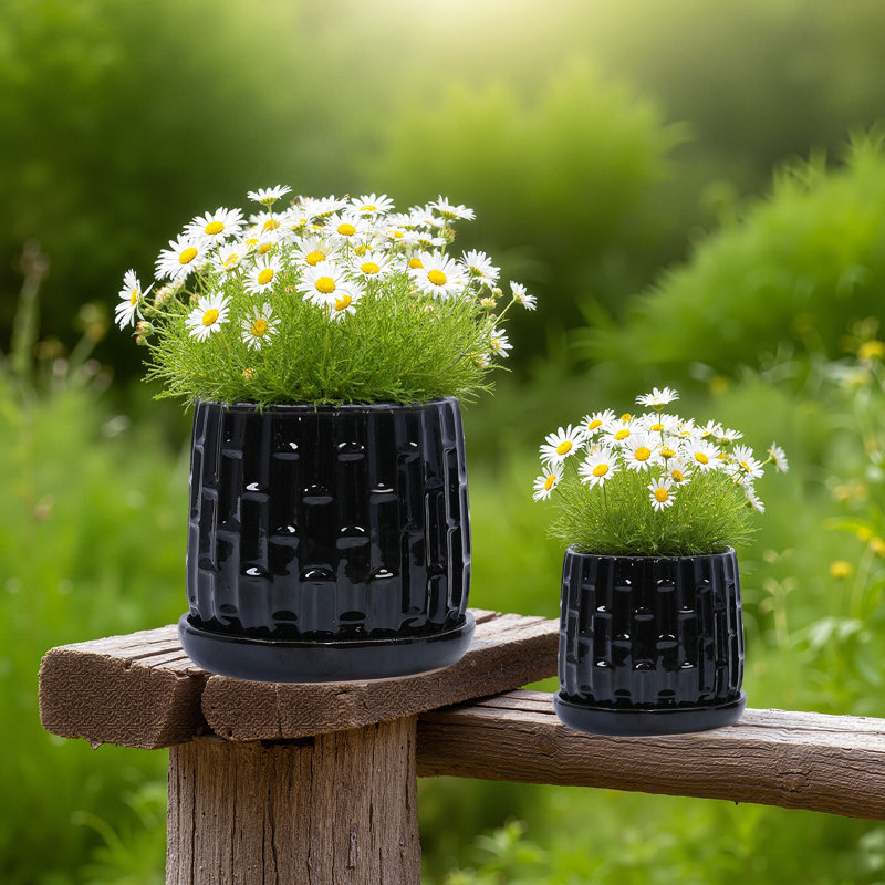 Ensemble de 2 pots de fleurs décoratifs pour l'intérieur et l'extérieur 8 po