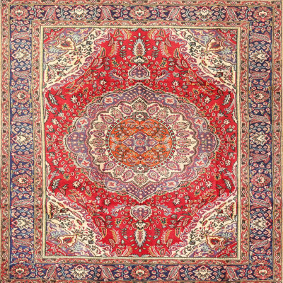 Oriental Indoor Rug