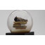 Cat On Books Snow Globe