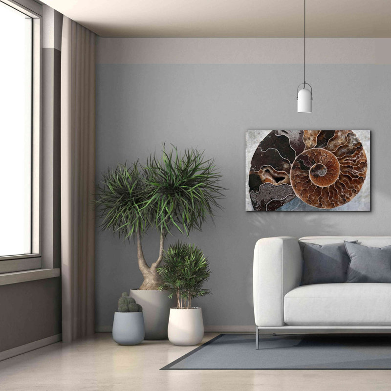 «Ammonite Spiral» par Elena Ray, art mural sur toile, H 26 po x l 40 po x P 1,5 po