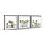 Collection de tournesols - ensemble de 3 cadres photo-658534677