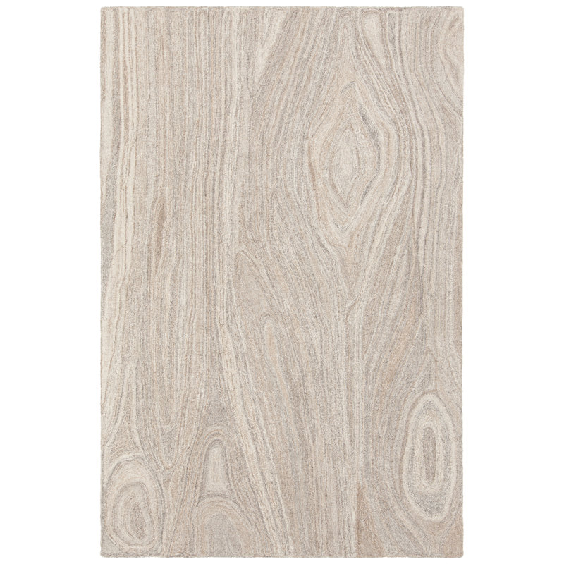 Tapis brun clair / gris touffeté à la main Marinn, Rectangle 9 pi x 13 pi