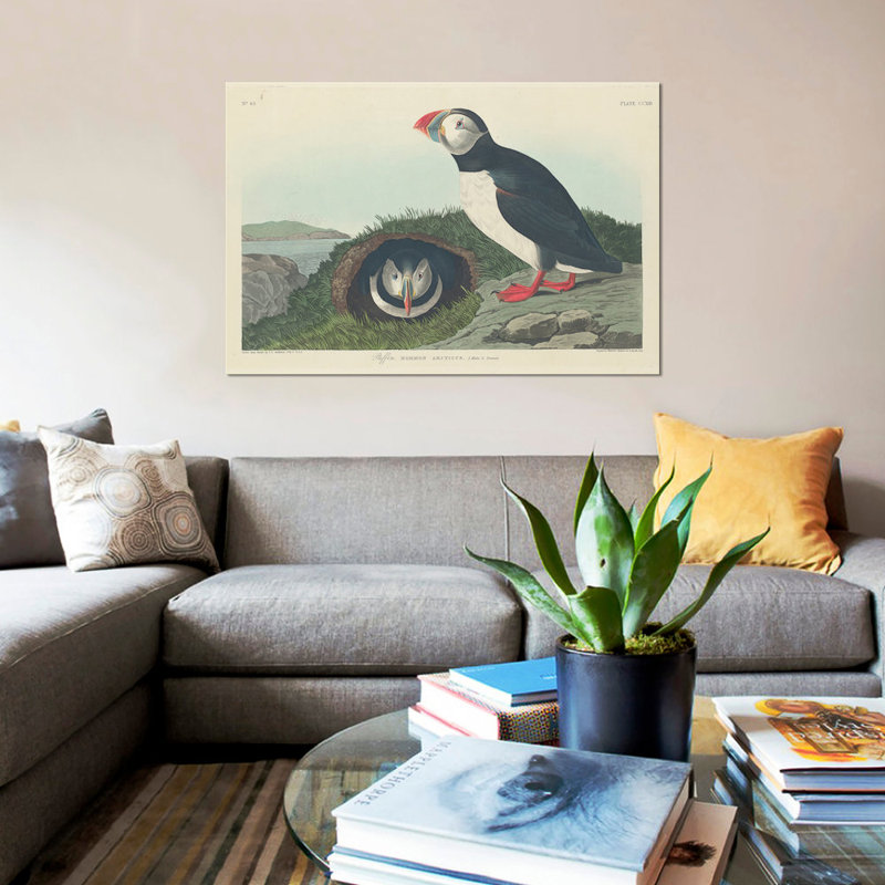 «Puffin», impression sur toile, H 8 po x l 12 po x P 0,75 po, Toile tendue, Non mat