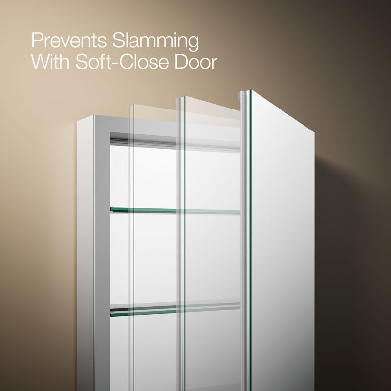 Verdera® Recessed or Surface Mount Medicine Cabinet with 3 Adjustable Shelves, 30" H x 20" W x 4.75" D