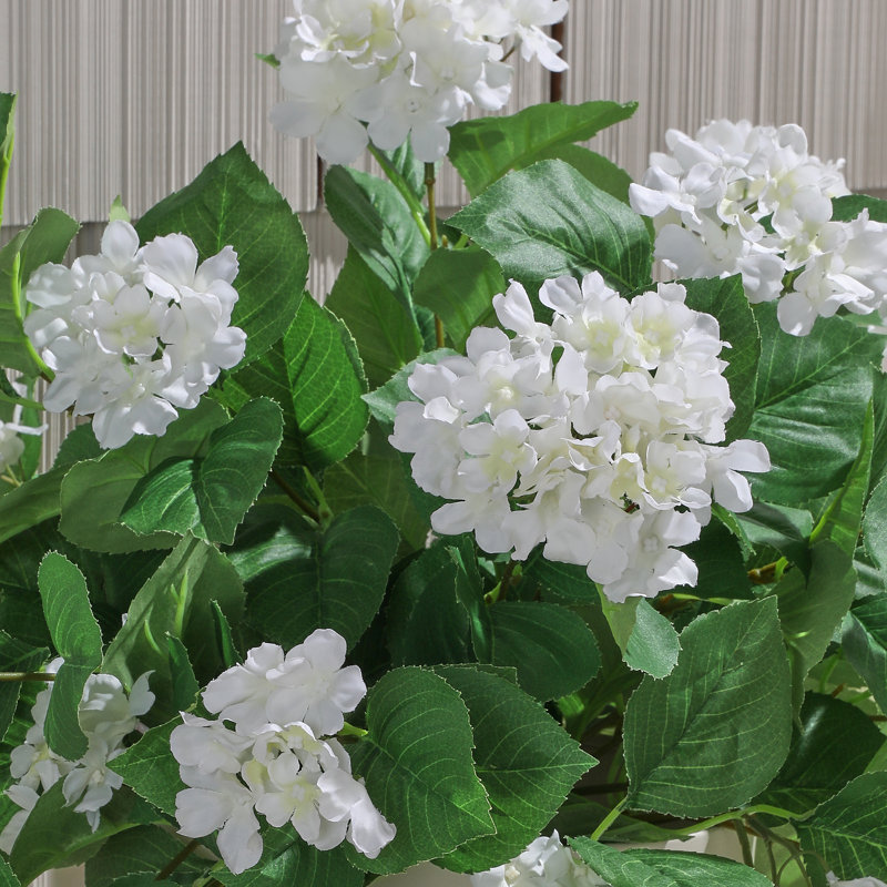 Hortensia suspendu 27 "UV, Blanc