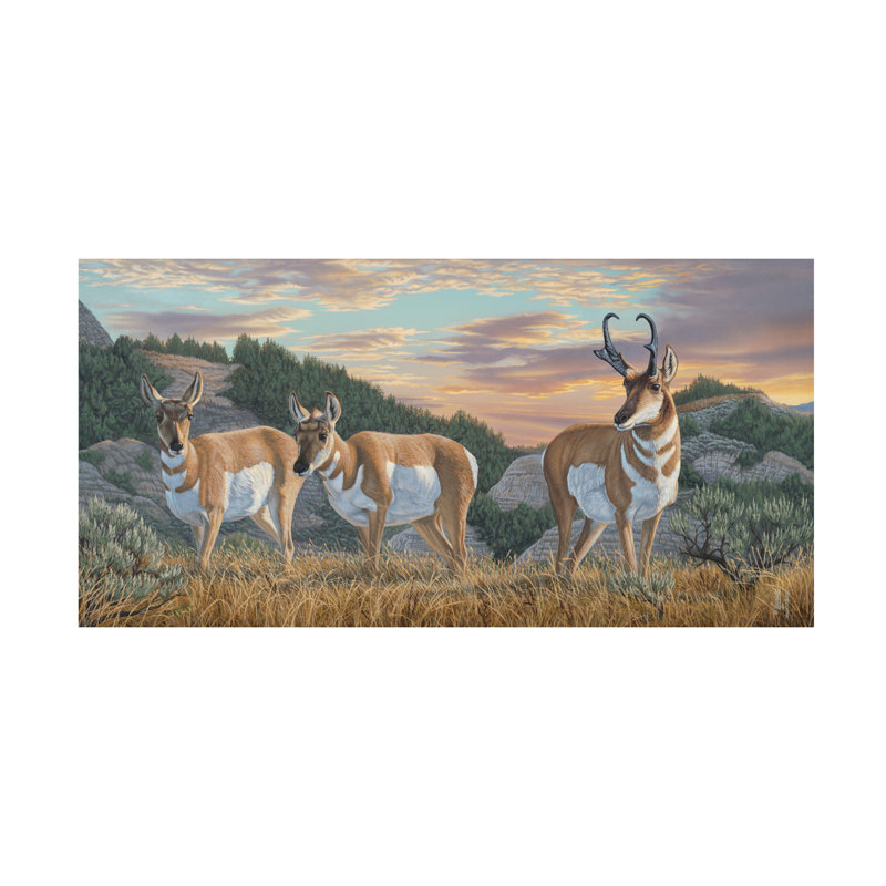 «Jeff Hoff Evening Prairie Pronghorn», art sur toile, H 24 po x l 47 po