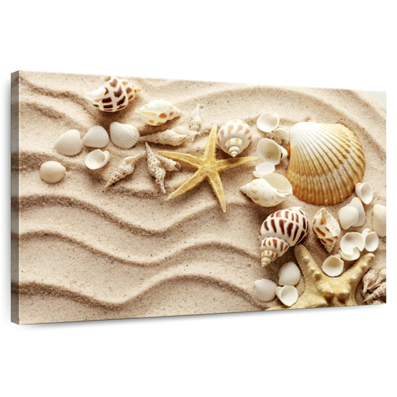 Aletra, coquillages sur les vagues de sable, H 8 po x l 12 po