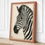 Zebra Study Japandi - Wrapped Canvas-319380659-319380660