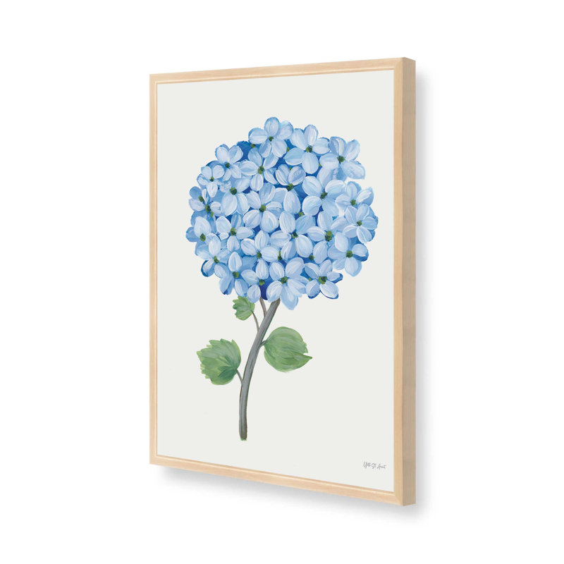 «Nantucket Blue Hydrangea I» par Yvette St. Amant, reproduction d'art sur toile, Brun clair, H 32 po x l 24 po