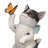 Cahide Cat With Bow And Butterfly