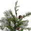 6.5' Pre-Lit Led Flocked Mixed Colorado Pine Artificial Christmas Tree - Clear Lights-861110407-862314956