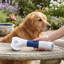 Brosse à chat pour chats et chiens-125302063