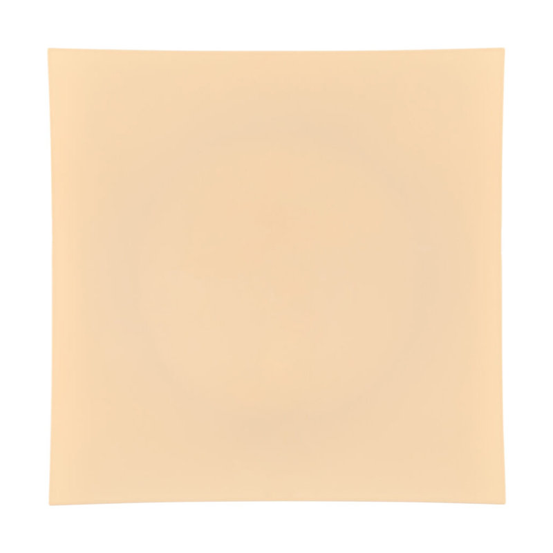 Disposable Dinner Plate, Set of 48