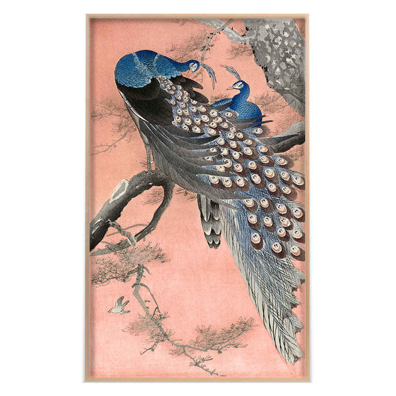 Peacocks Print by Grand Archives