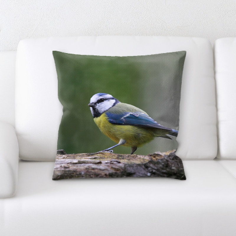 Coussin décoratif blue tit