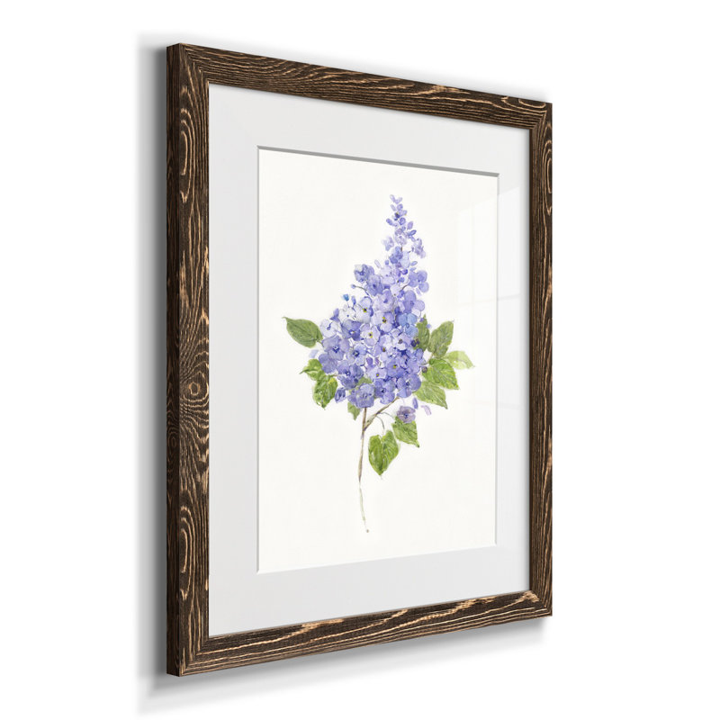 Lilas botanique délicat - impression, Noyer, H 20 po x l 17 po x P 1,5 po