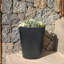 Boîte à fleurs ronde écologique Ebern Designs, Cozumel. Utilisation intérieure / extérieure, utilisation quatre saisons-1938215581-1938215568