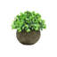 4,5 po Petite plante topiaire artificielle en pot 4,5 po