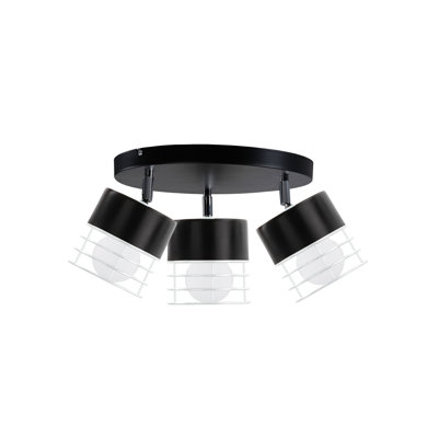 Cordia Spotlight
