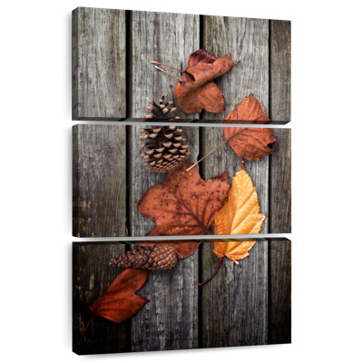 Feuilles d'automne séchées